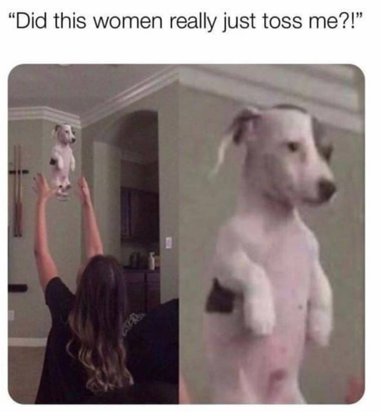 "Did this women really just toss me?!"