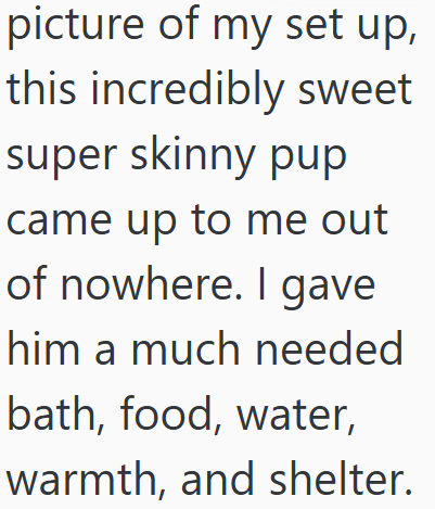 picture of my set up, this incredibly sweet super skinny pup came up to me out of nowhere. I gave him a much needed bath, food, water, warmth, and shelter.