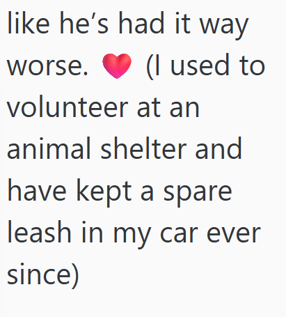 like he's had it way worse. (I used to volunteer at an animal shelter and have kept a spare leash in my car ever since)