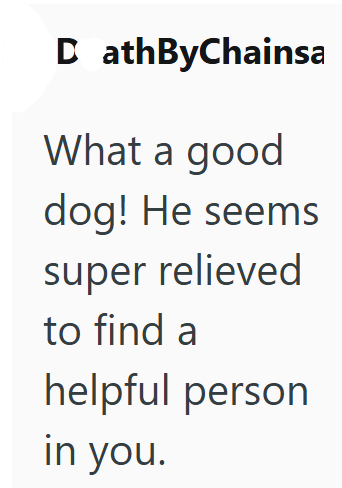 D athByChainsa What a good dog! He seems super relieved to find a helpful person in you.