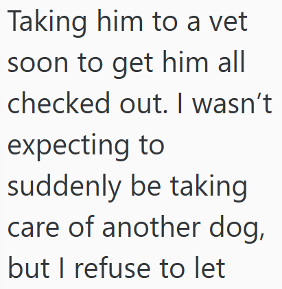 Taking him to a vet soon to get him all checked out. I wasn't expecting to suddenly be taking care of another dog, but I refuse to let
