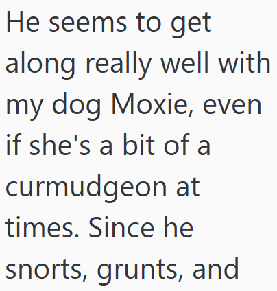 He seems to get along really well with my dog Moxie, even if she's a bit of a curmudgeon at times. Since he snorts, grunts, and