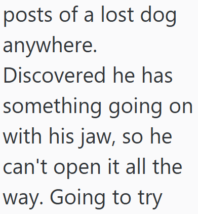 posts of a lost dog anywhere. Discovered he has something going on with his jaw, so he I can't open it all the way. Going to try
