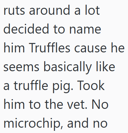 ruts around a lot decided to name him Truffles cause he seems basically like a truffle pig. Took him to the vet. No microchip, and no