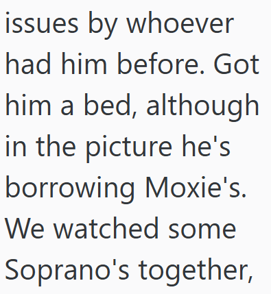 issues by whoever had him before. Got him a bed, although in the picture he's borrowing Moxie's. We watched some Soprano's together,