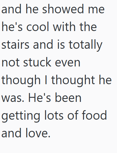 and he showed me he's cool with the stairs and is totally not stuck even though I thought he was. He's been getting lots of food and love.