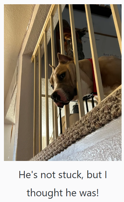 He's not stuck, but I thought he was!