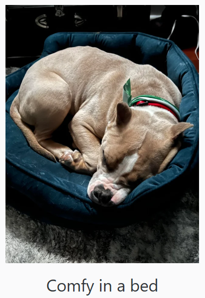 Comfy in a bed