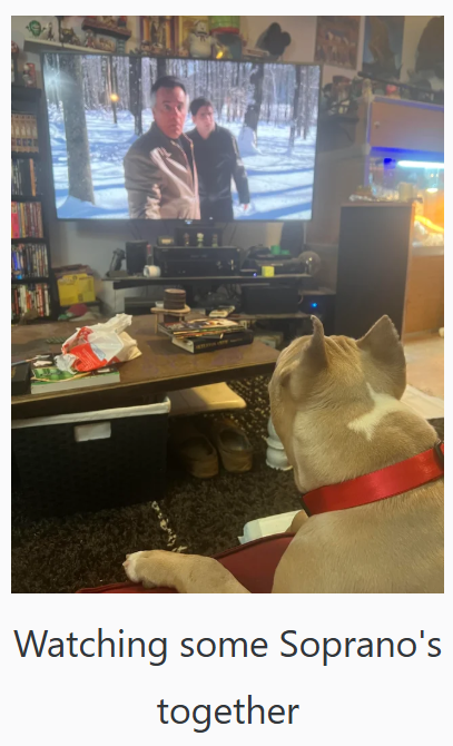Watching some Soprano's together