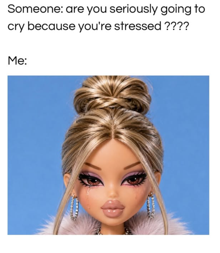 Someone: are you seriously going to cry because you're stressed ???? Me: