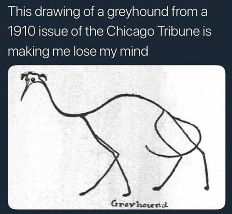 This drawing of a greyhound from a 1910 issue of the Chicago Tribune is making me lose my mind Greyhound