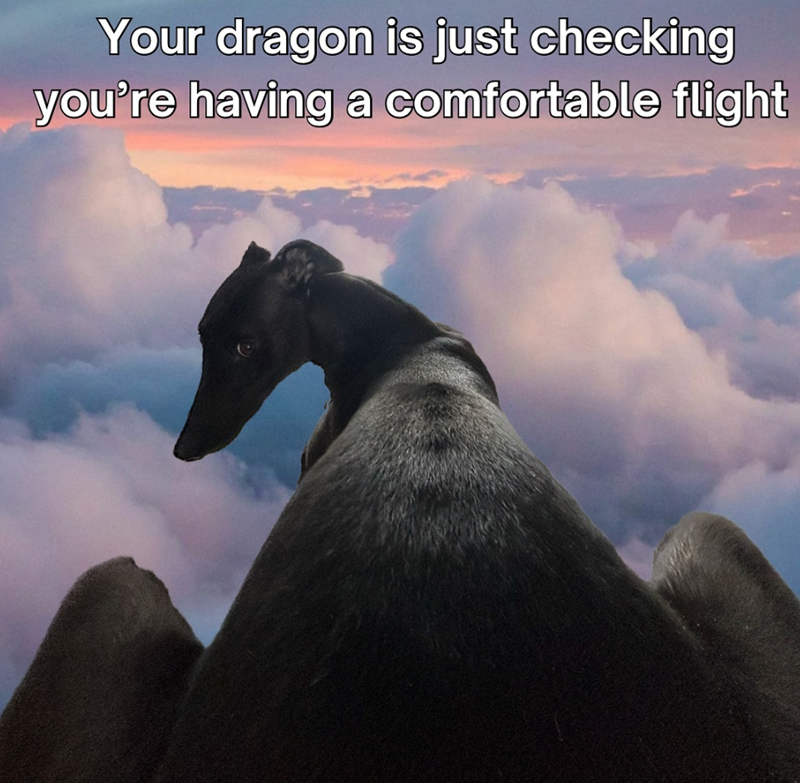 Your dragon is just checking you're having a comfortable flight