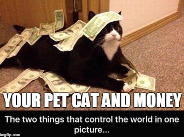 YOUR PET CAT AND MONEY The two things that control the world in one picture... imgflip.com