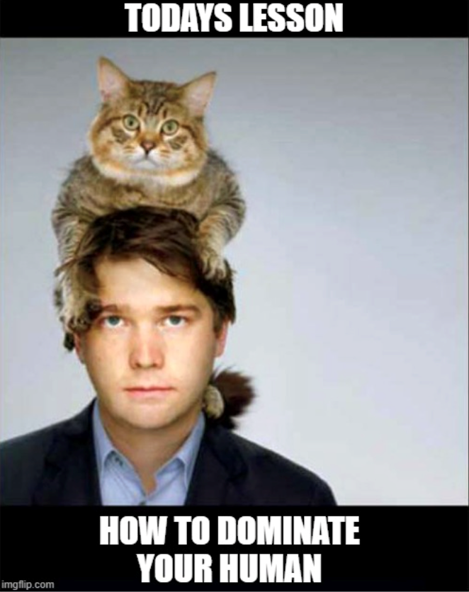 imgflip.com TODAYS LESSON HOW TO DOMINATE YOUR HUMAN