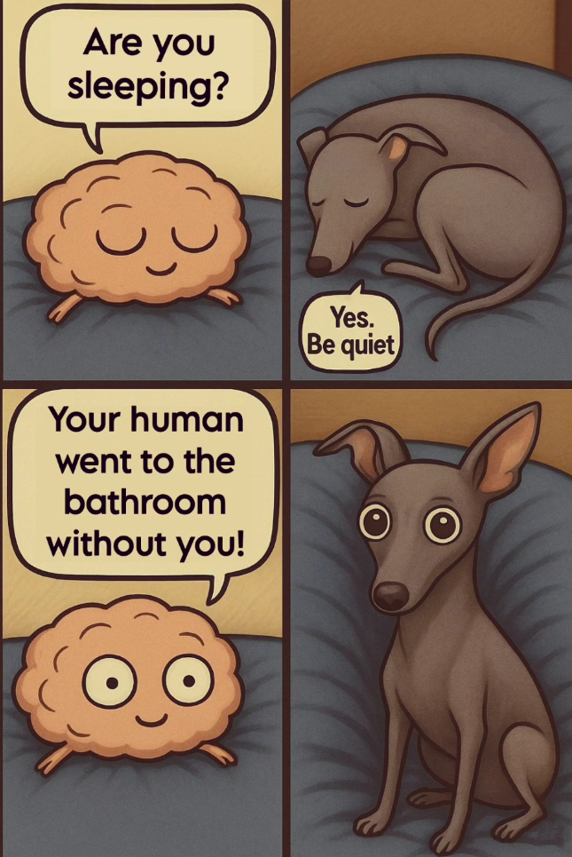 Are you sleeping? Your human went to the bathroom without you! Yes. Be quiet