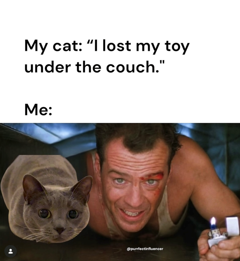 My cat: "I lost my toy under the couch." Me: @purrfectinfluencer