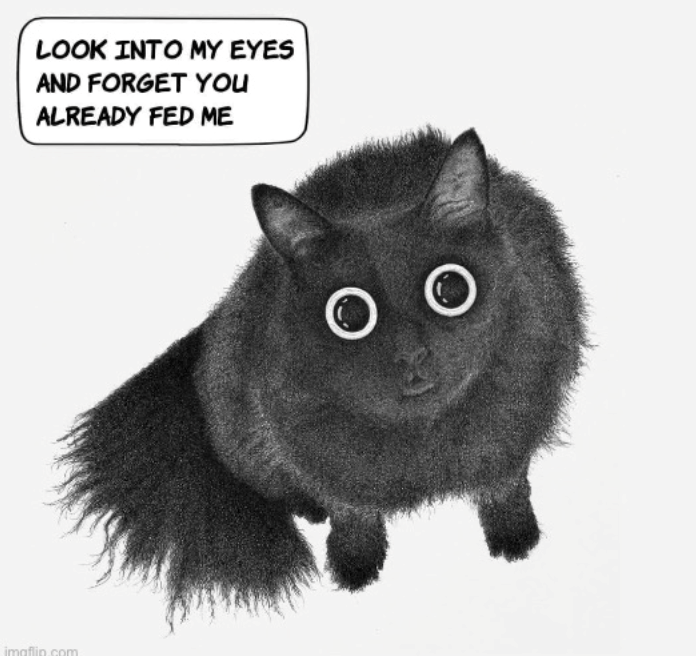 LOOK INTO MY EYES AND FORGET YOU ALREADY FED ME imgflip.com