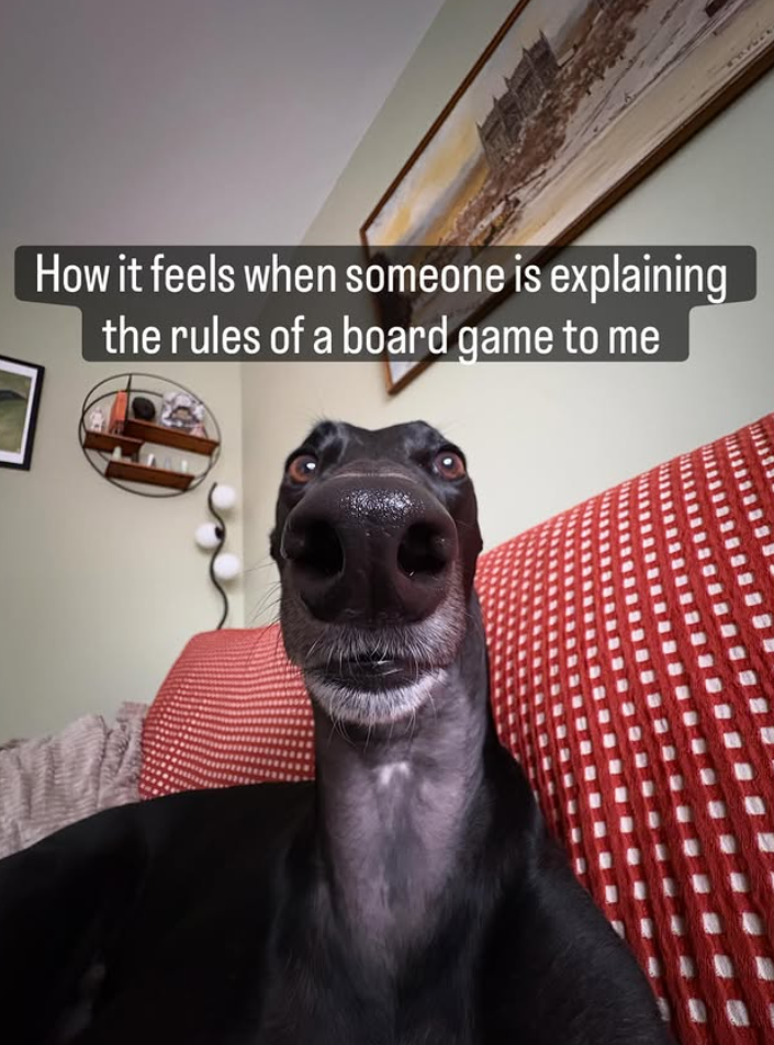How it feels when someone is explaining the rules of a board game to me