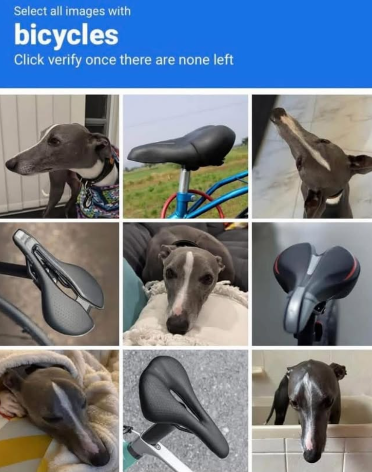 Select all images with bicycles Click verify once there are none left CAT