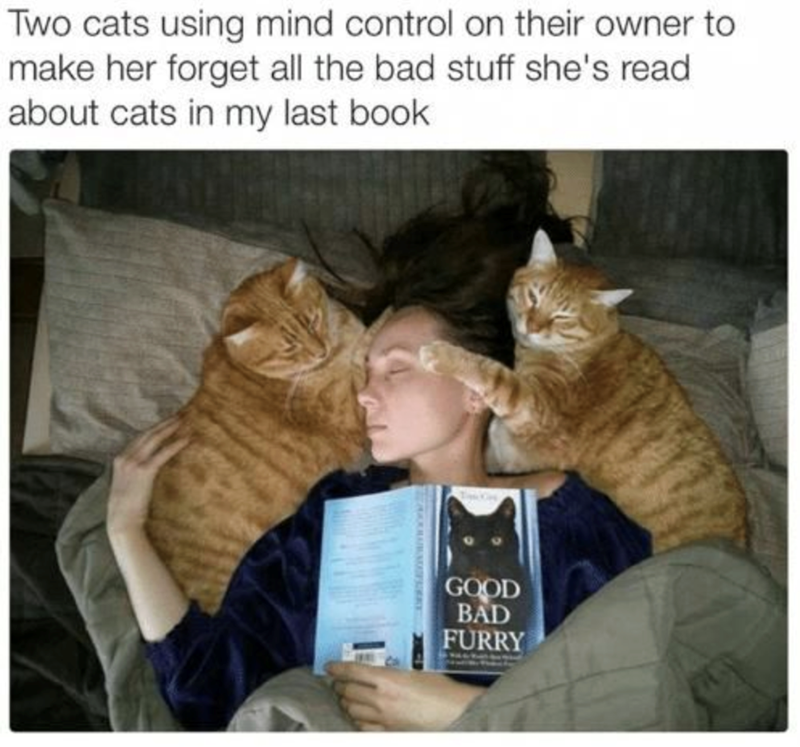 Two cats using mind control on their owner to make her forget all the bad stuff she's read about cats in my last book. GOOD BAD FURRY