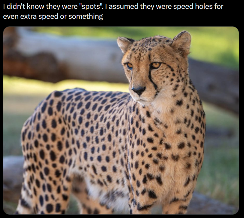 I didn't know they were "spots". I assumed they were speed holes for even extra speed or something