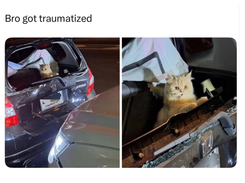 Bro got traumatized A