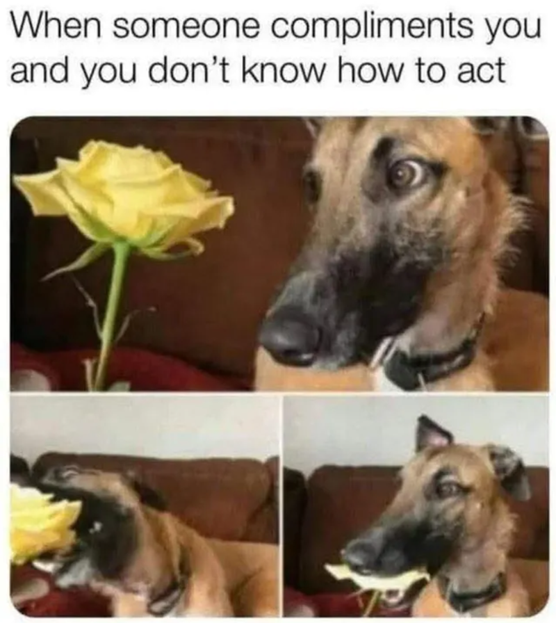 When someone compliments you and you don't know how to act.