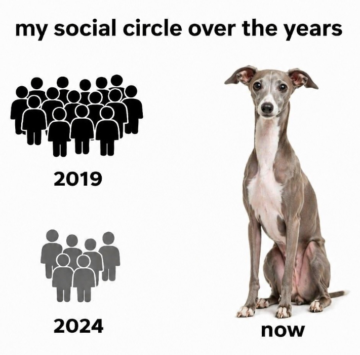 my social circle over the years 2019 2024 now