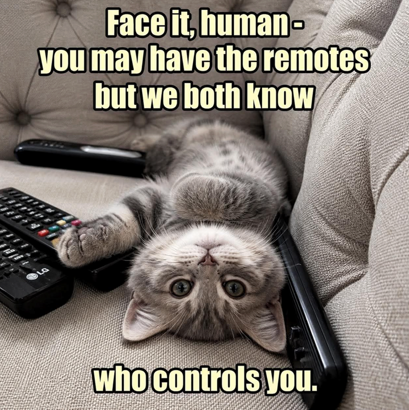 Face it, human- you may have the remotes but we both know who controls you.
