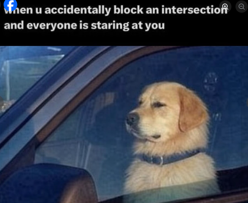 fnen u accidentally block an intersection and everyone is staring at you Q