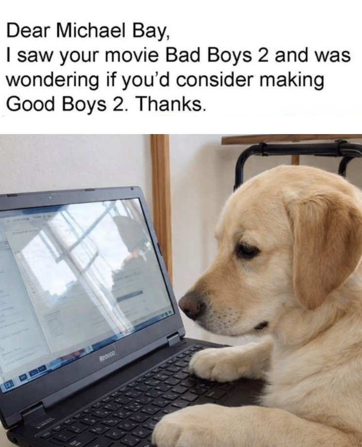 Dear Michael Bay, I saw your movie Bad Boys 2 and was wondering if you'd consider making Good Boys 2. Thanks. Reecco