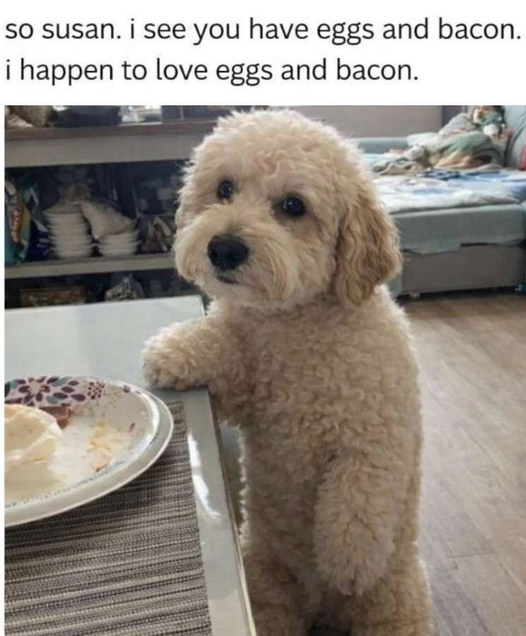 so susan. i see you have eggs and bacon. i happen to love eggs and bacon.