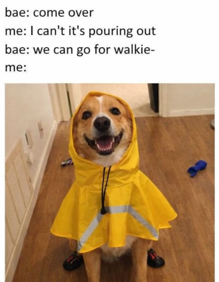 bae: come over me: I can't it's pouring out bae: we can go for walkie- me: