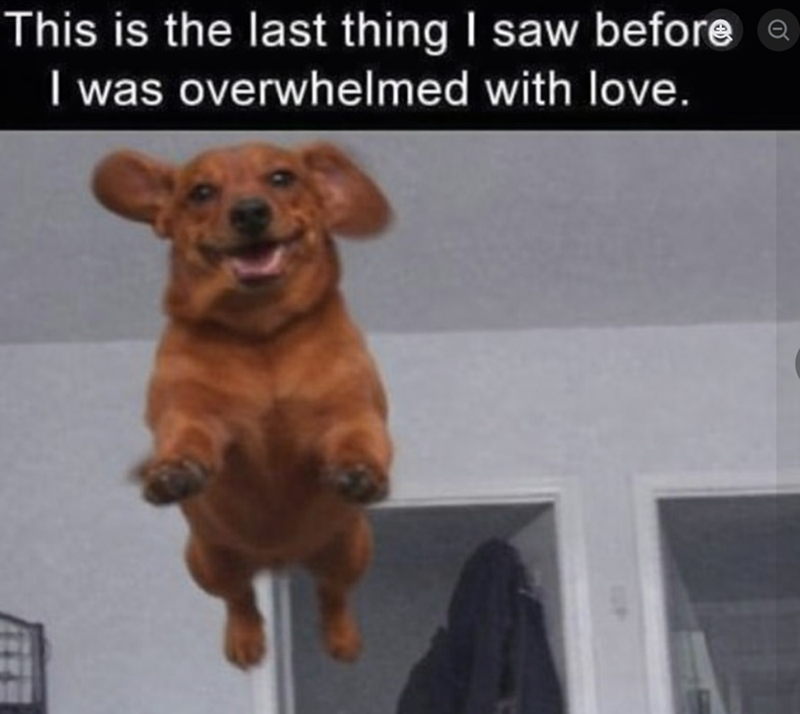This is the last thing I saw before I was overwhelmed with love.