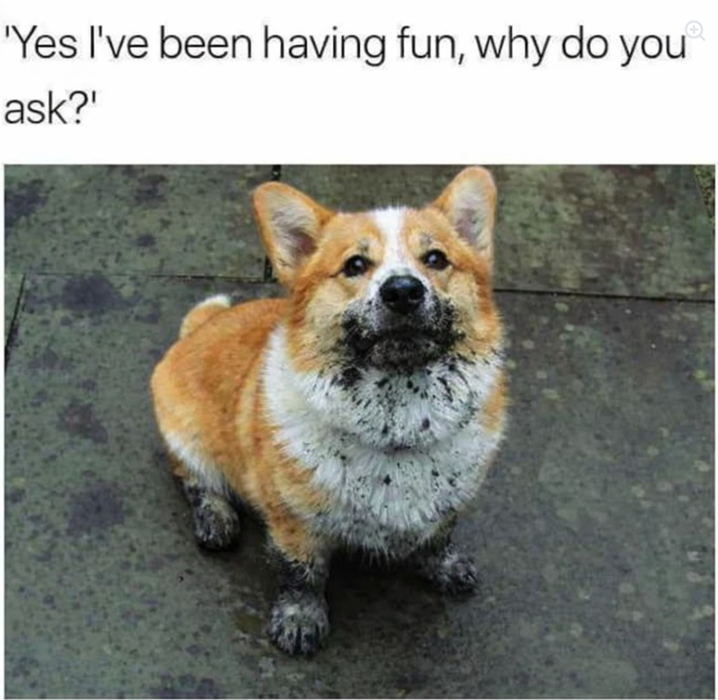 'Yes I've been having fun, why do you ask?"