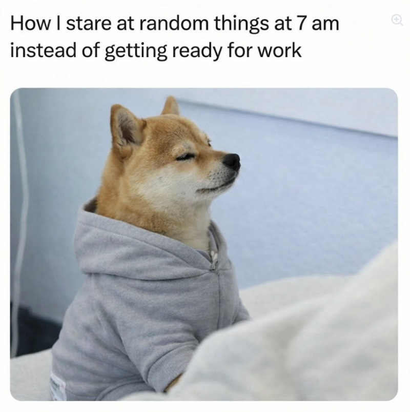 How I stare at random things at 7 am instead of getting ready for work