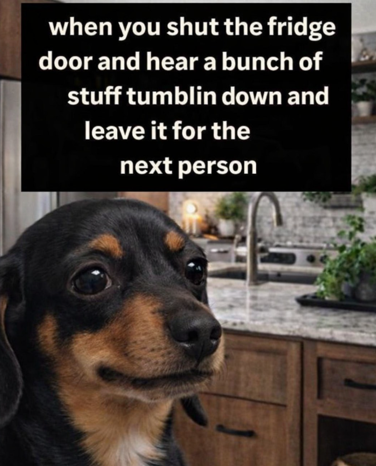 when you shut the fridge door and hear a bunch of stuff tumblin down and leave it for the next person