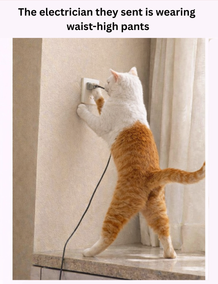The electrician they sent is wearing waist-high pants
