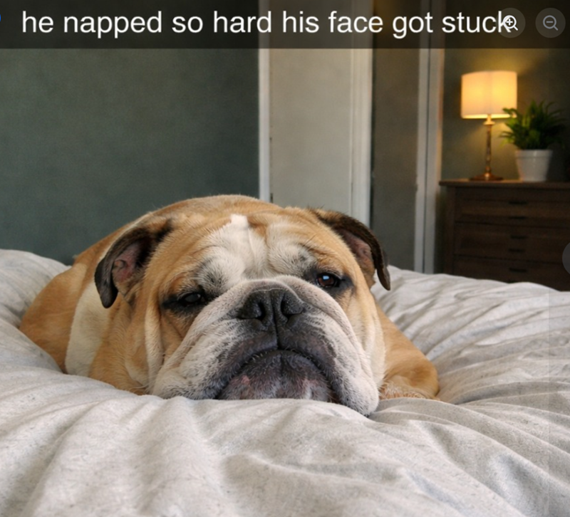 he napped so hard his face got stuck