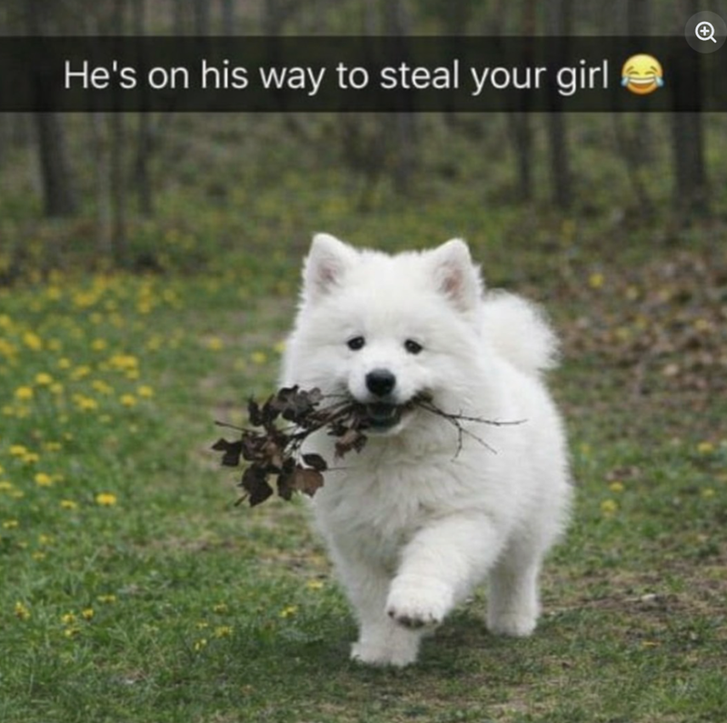 He's on his way to steal your girl