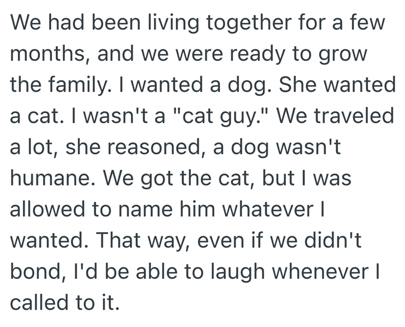 We had been living together for a few months, and we were ready to grow the family. I wanted a dog. She wanted a cat. I wasn't a "cat guy." We traveled a lot, she reasoned, a dog wasn't humane. We got the cat, but I was allowed to name him whatever I wanted. That way, even if we didn't bond, I'd be able to laugh whenever I called to it.
