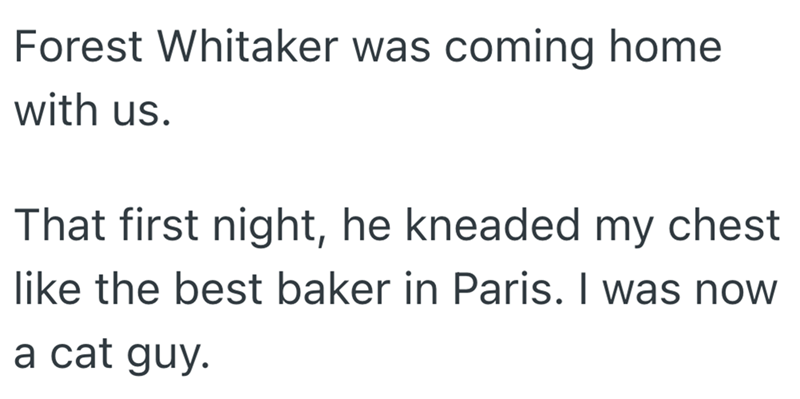 Forest Whitaker was coming home with us. That first night, he kneaded my chest like the best baker in Paris. I was now a cat guy.