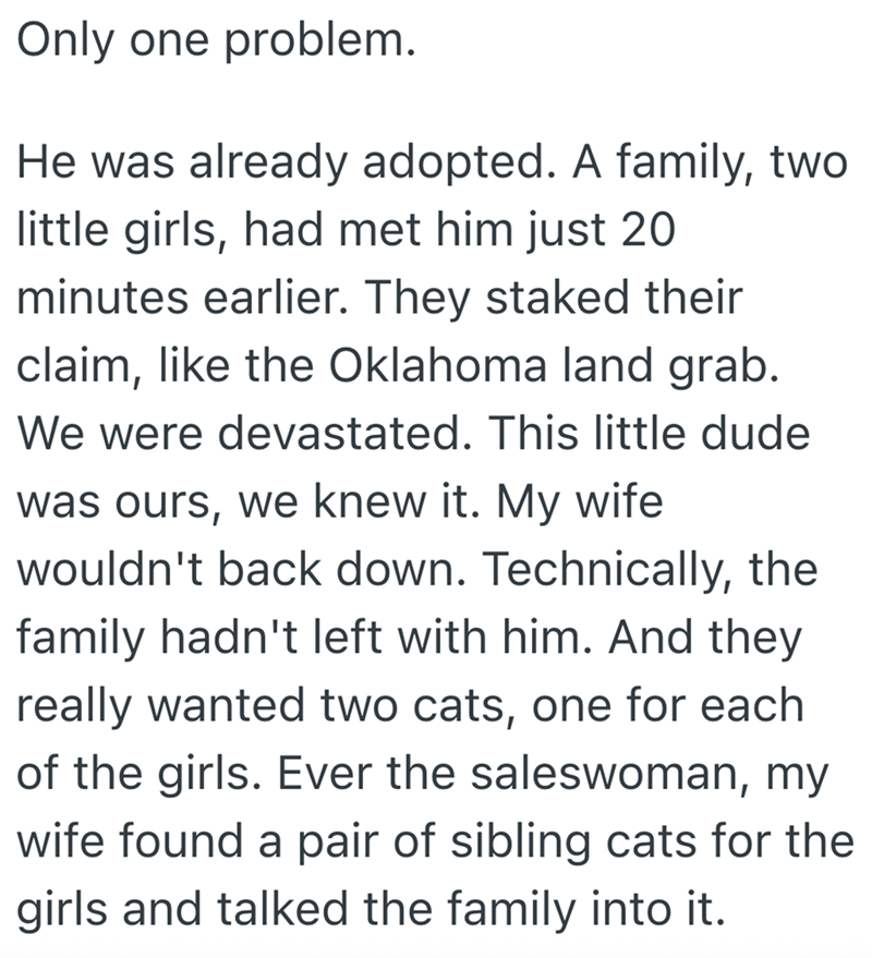 Only one problem. He was already adopted. A family, two little girls, had met him just 20 minutes earlier. They staked their claim, like the Oklahoma land grab. We were devastated. This little dude was ours, we knew it. My wife wouldn't back down. Technically, the family hadn't left with him. And they really wanted two cats, one for each of the girls. Ever the saleswoman, my wife found a pair of sibling cats for the girls and talked the family into it.
