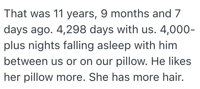 That was 11 years, 9 months and 7 days ago. 4,298 days with us. 4,000- plus nights falling asleep with him between us or on our pillow. He likes her pillow more. She has more hair.