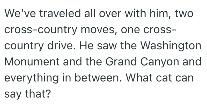 We've traveled all over with him, two cross-country moves, one cross- country drive. He saw the Washington Monument and the Grand Canyon and everything in between. What cat can say that?