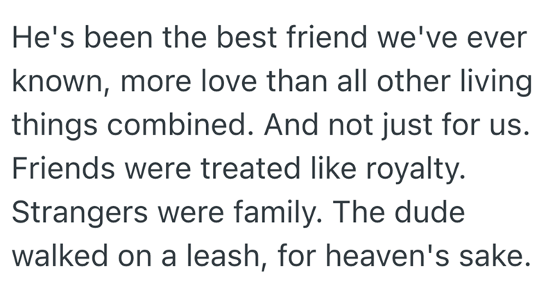 He's been the best friend we've ever known, more love than all other living things combined. And not just for us. Friends were treated like royalty. Strangers were family. The dude walked on a leash, for heaven's sake.