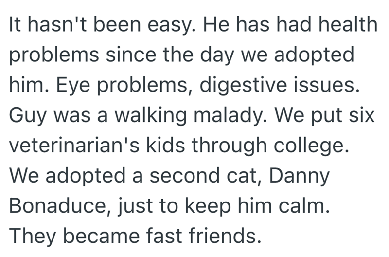 It hasn't been easy. He has had health problems since the day we adopted him. Eye problems, digestive issues. Guy was a walking malady. We put six veterinarian's kids through college. We adopted a second cat, Danny Bonaduce, just to keep him calm. They became fast friends.