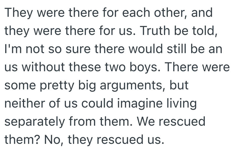 They were there for each other, and they were there for us. Truth be told, I'm not so sure there would still be an us without these two boys. There were some pretty big arguments, but neither of us could imagine living separately from them. We rescued them? No, they rescued us.