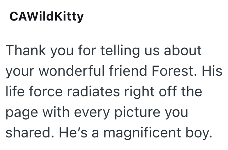 CAWild Kitty Thank you for telling us about your wonderful friend Forest. His life force radiates right off the page with every picture you shared. He's a magnificent boy.