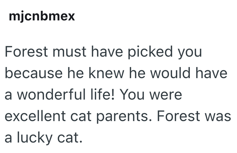 mjcnbmex Forest must have picked you because he knew he would have a wonderful life! You were excellent cat parents. Forest was a lucky cat.